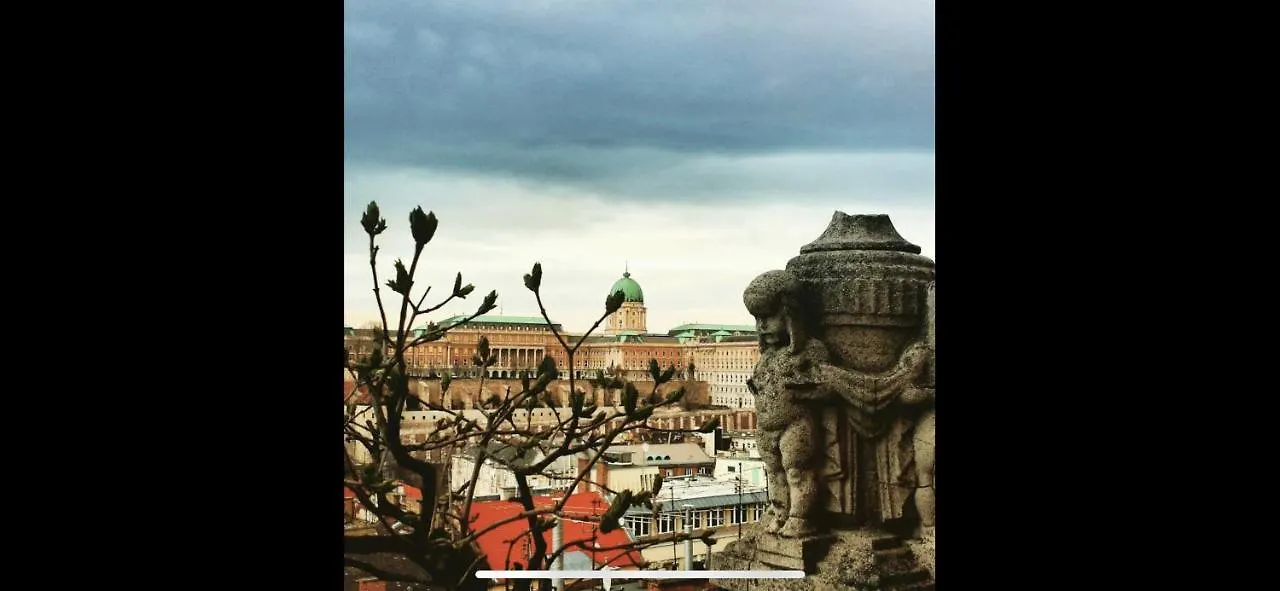 Luxury Apartment With Balcony View On Caslte Budapeste