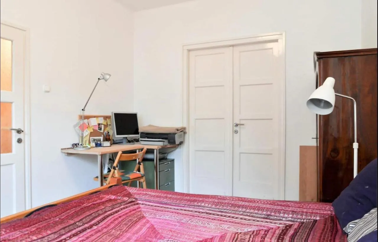 Luxury Apartment With Balcony View On Caslte Budapest